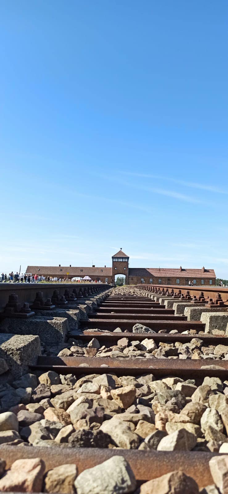 Klasa VIII a w Auschwitz - Birkenau